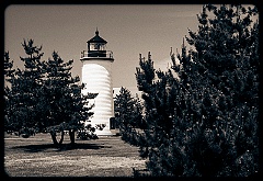 Plum Island Lighthouse Among Evergreens - Sepia Tone